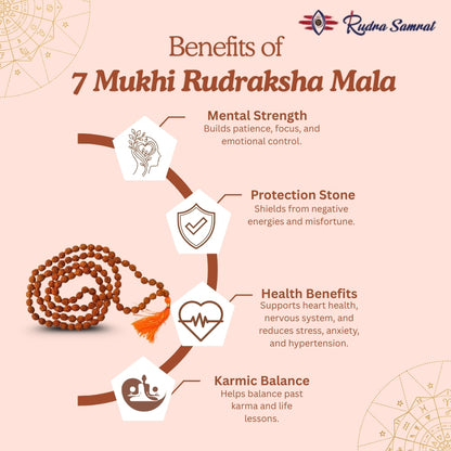 7 Mukhi Rudraksha Mala