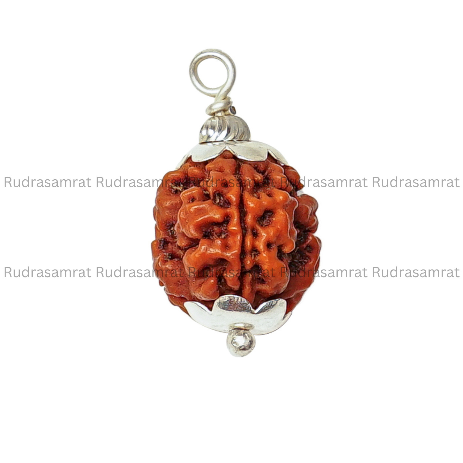 3 Mukhi Rudraksha Bracelet in Bulandshahr at best price by Aggarwal  Rudraksha - Justdial