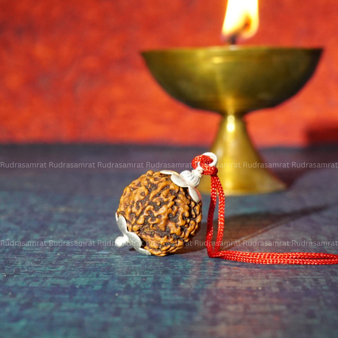 4 Mukhi Java Rudraksha Adjustable Bracelet in Thread | Rudraksha Mart