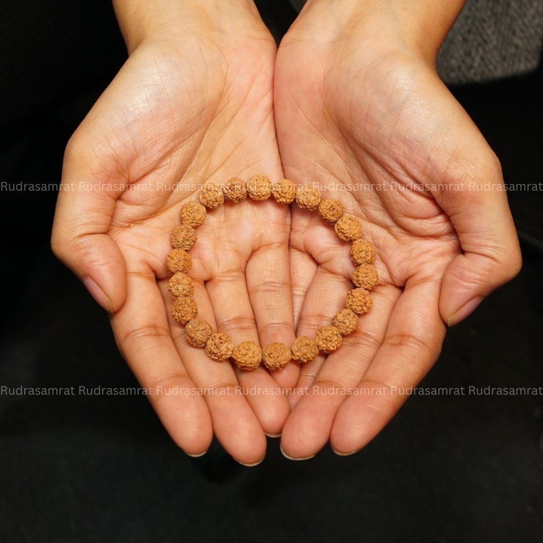 8 Mukhi Rudraksha Natural Bracelet - MystikalZen